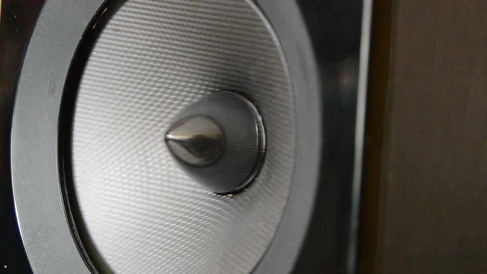 Speaker vibrating